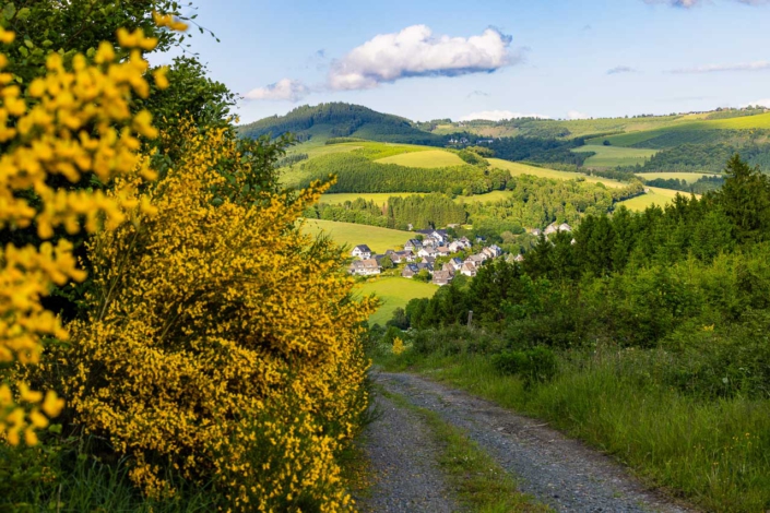 Blick vom Hirschberg auf Westfeld