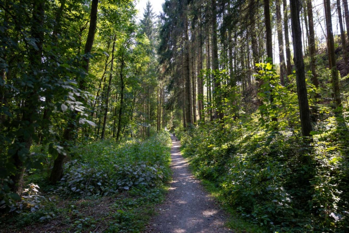 Golddorfroute Fleckenberg