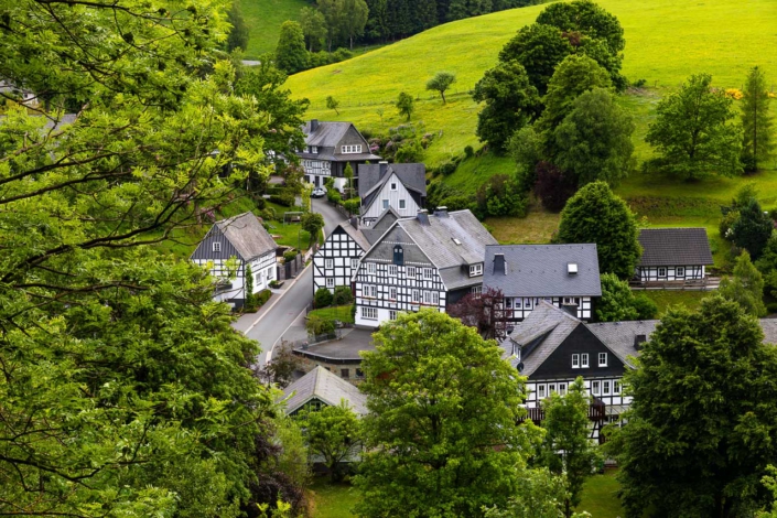 Blick von der Birkenallee
