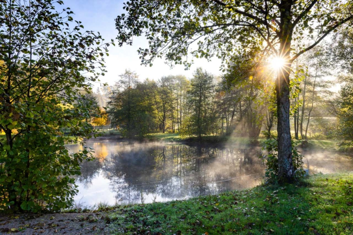 Morgenstimmung im Westfelder Park