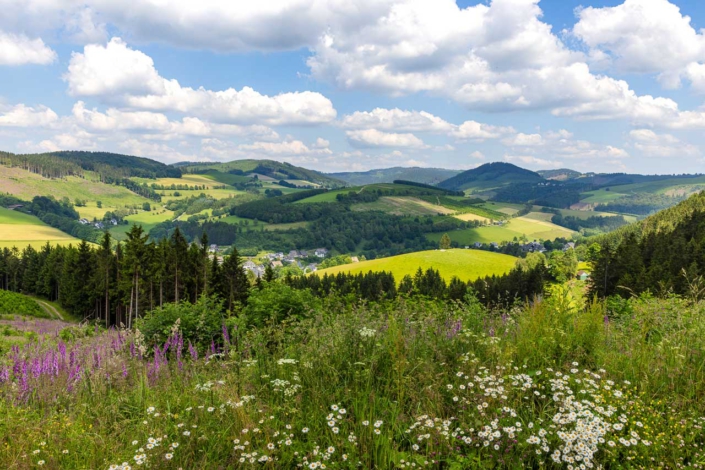 Aussicht vom Graftenberg