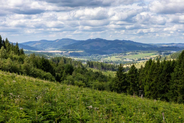 Blick von der Almert auf Grafschaft und Schmallenberg