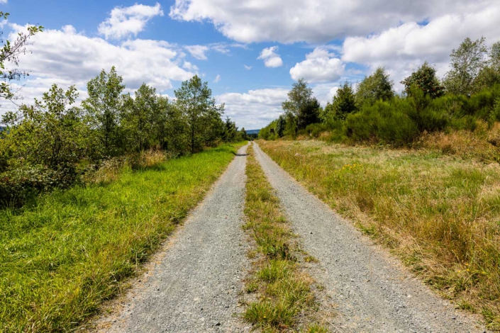 Weg nach Grafschaft