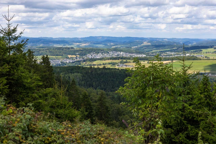 Blick auf Schmallenberg