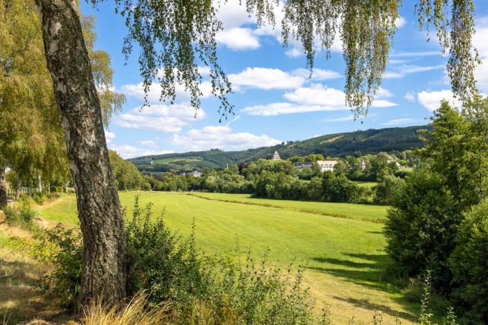 Blick vom Wiesenweg auf das Grafschafter Kloster