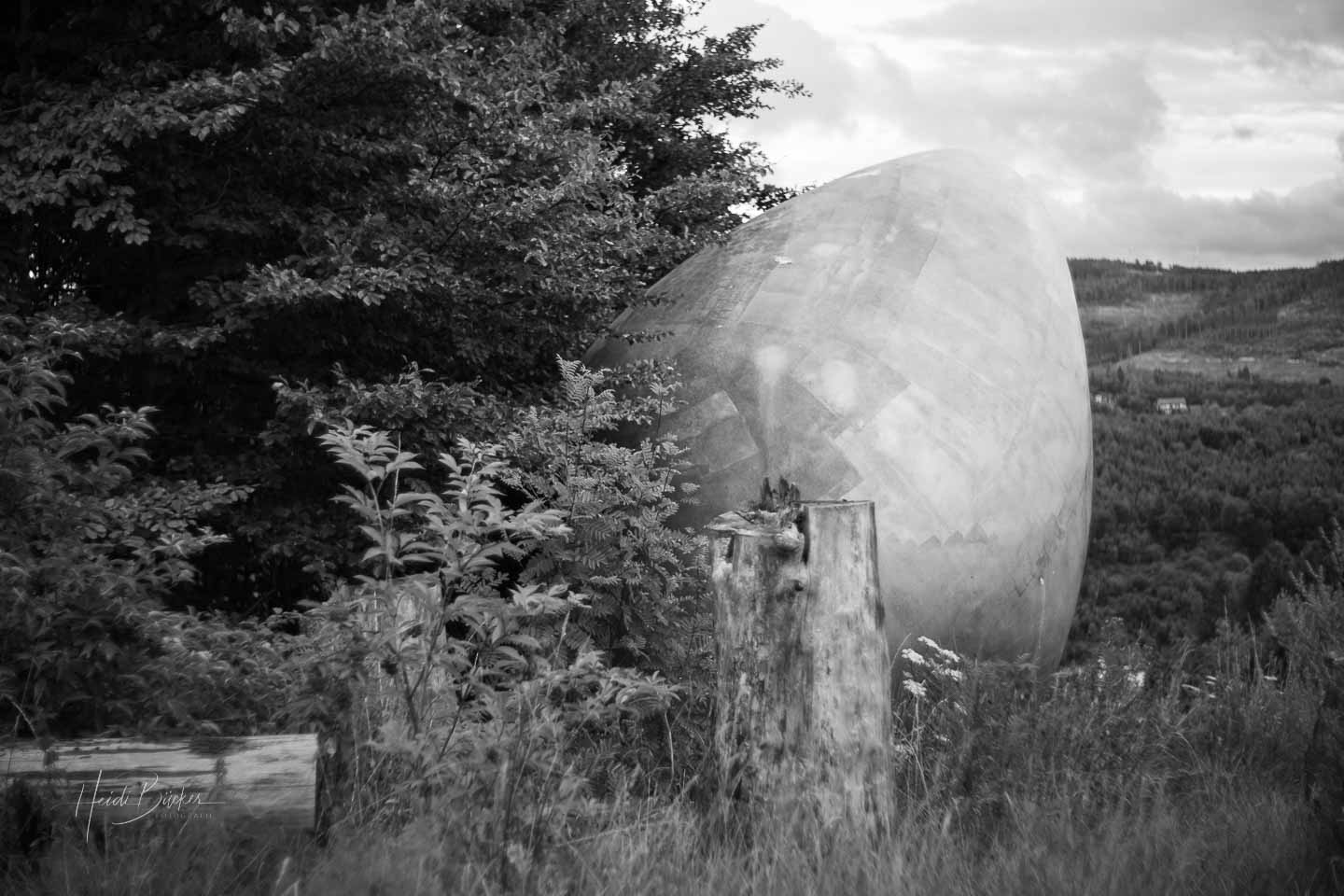Waldskulpturenweg_Pentacon_sw_46