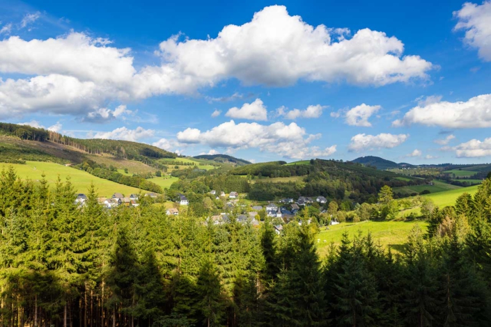 Westfeld im Sommer
