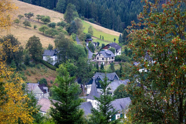 Westfeld im Spätsommer