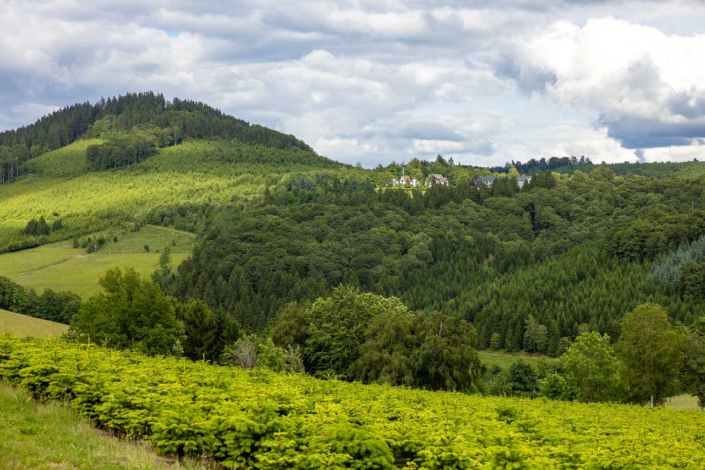 Blick vom Teppichweg auf den Hohen Knochen