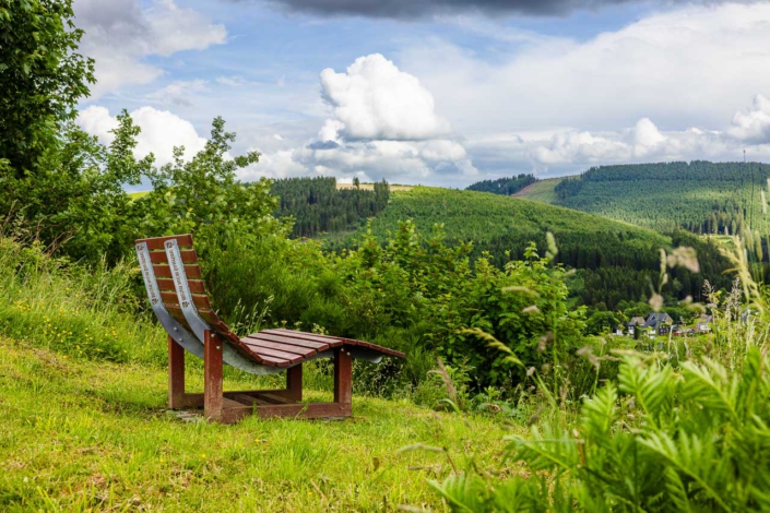 Waldsofa am Schwedensteig mit Blick auf Westfeld