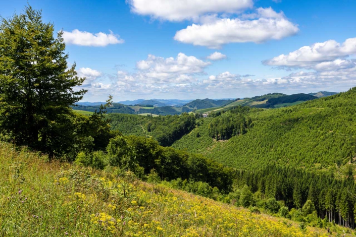 Aussicht aus dem Lennegrund