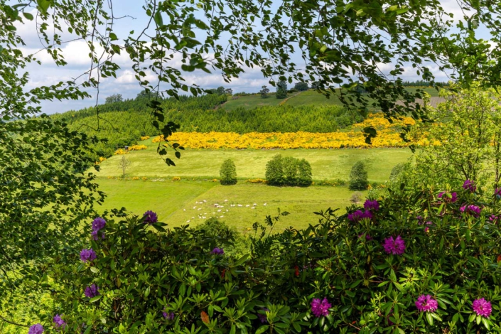 Aussicht von Döpps Scheune