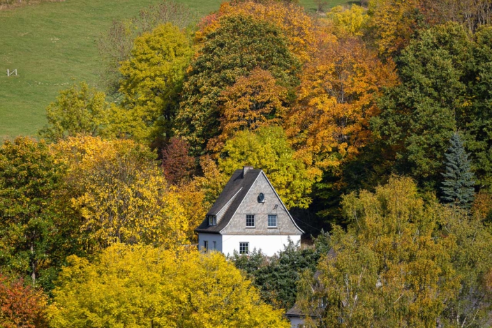 Westfeld im Herbst