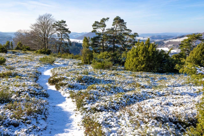 Wachholderheide im Winter