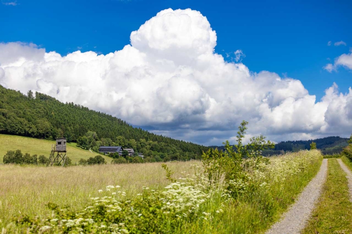 Blick auf Waldhaus Ohlenbach