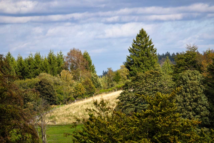 Herbstliche Impression