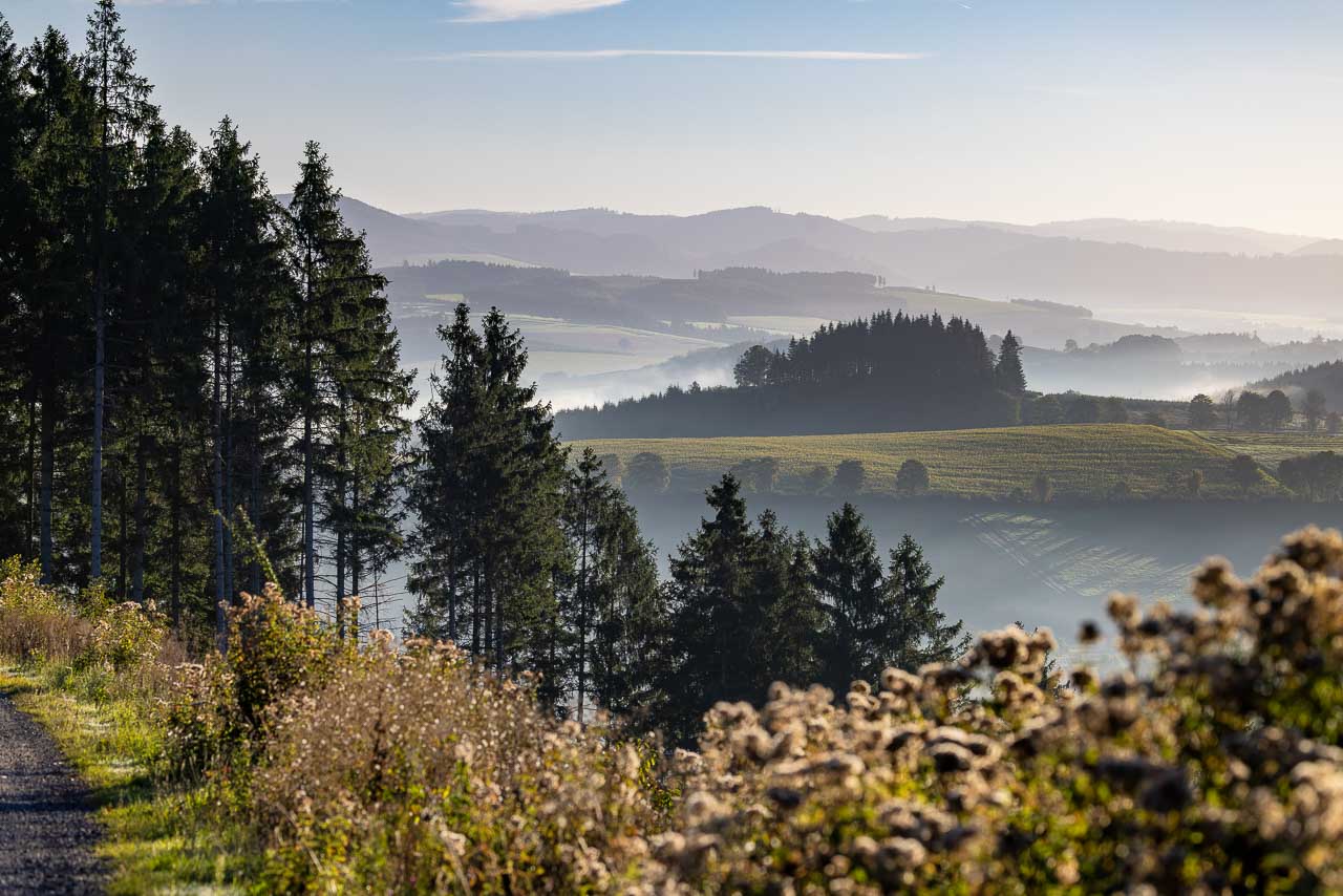 Morgenstimmung im Schmallenberger Sauerland