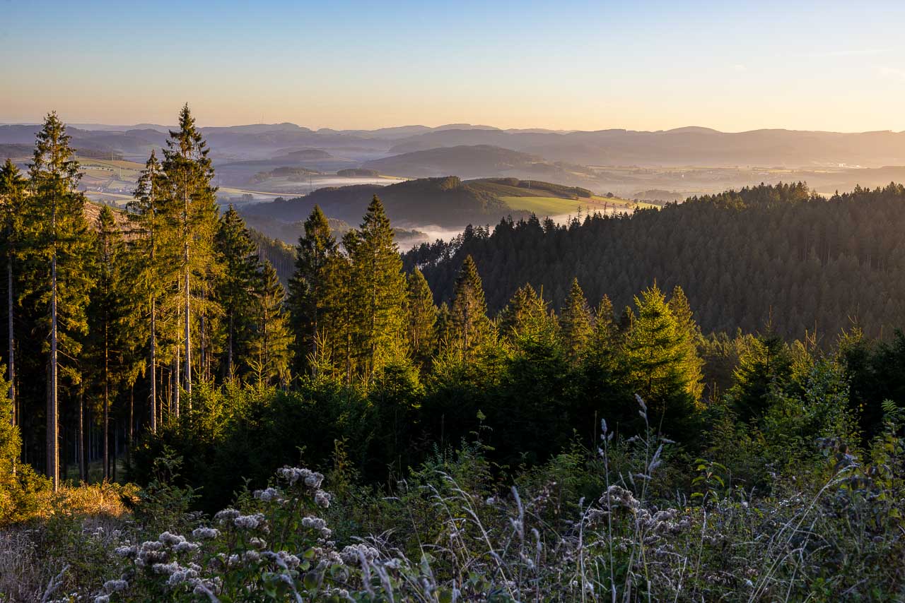 Aussicht ins Schmallenberger Sauerland