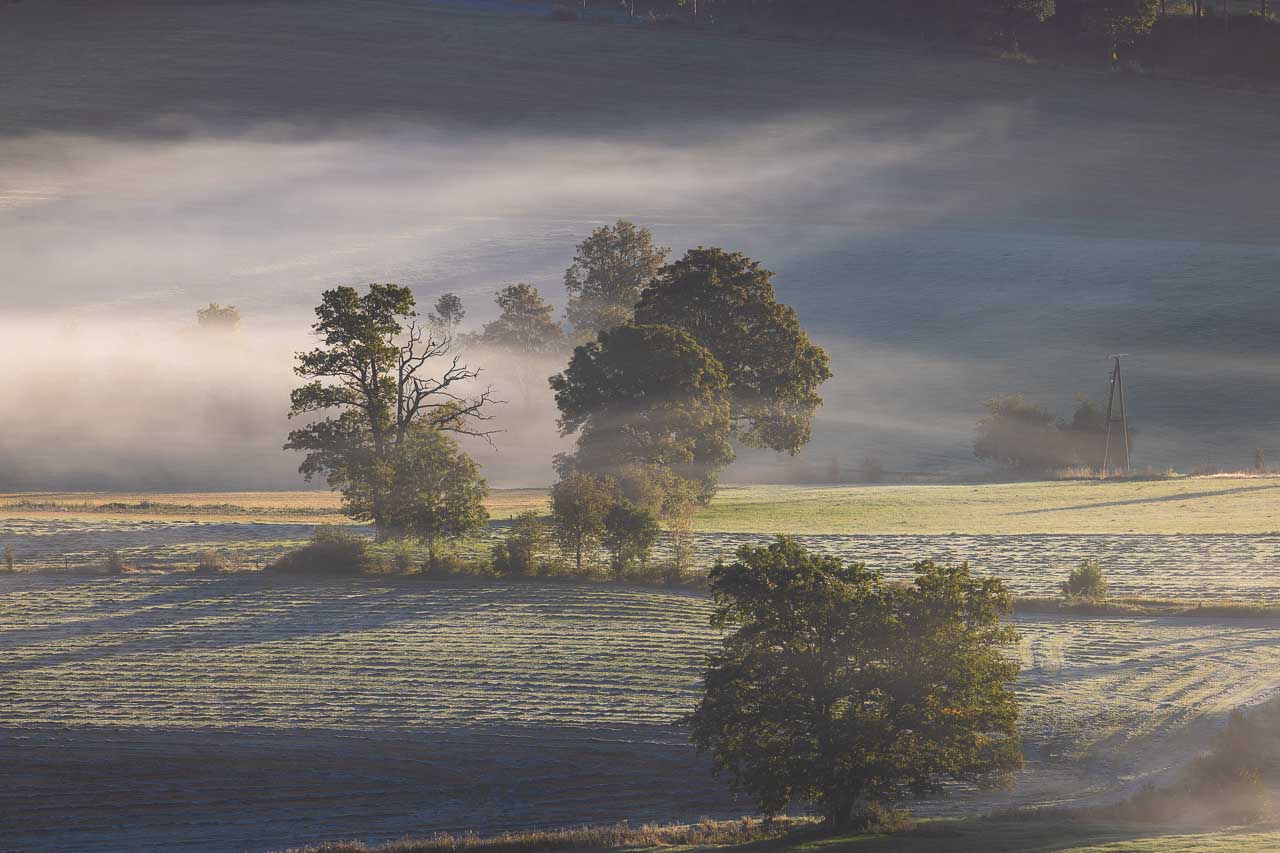 Morgendunst