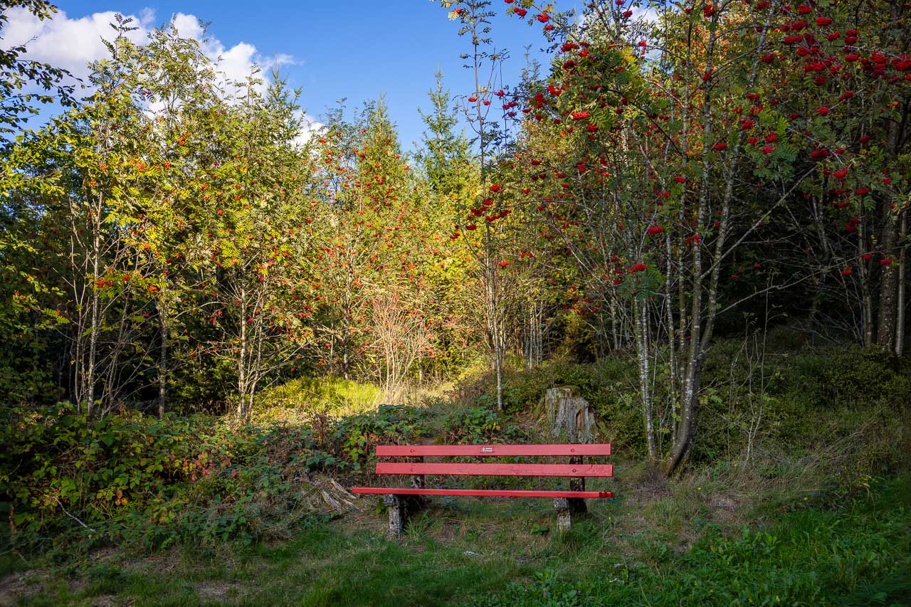 Rote Bank am Wegesrand