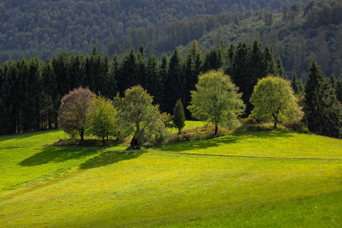 Gehans Äcker in Langewiese