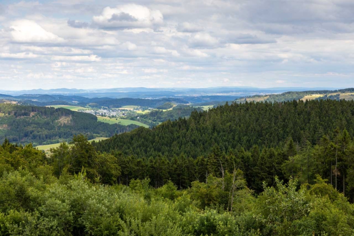 Aussicht vom Ettelsberg