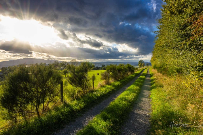 Weg unterhalb des Wilzenbergs