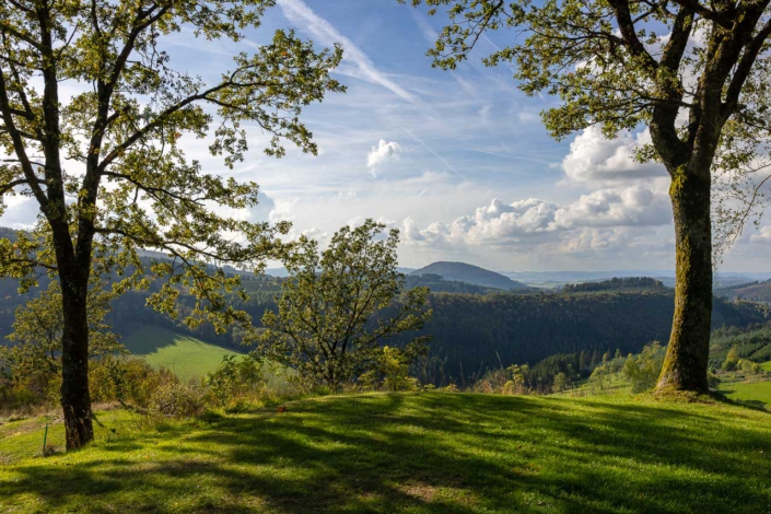 Aussicht von Döpp´s Scheune auf den Wilzenberg