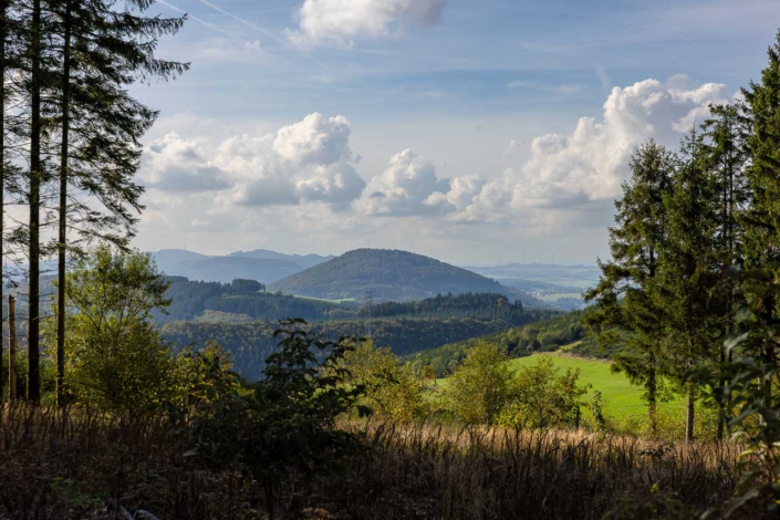 Aussicht von Döpp´s Scheune auf den Wilzenberg