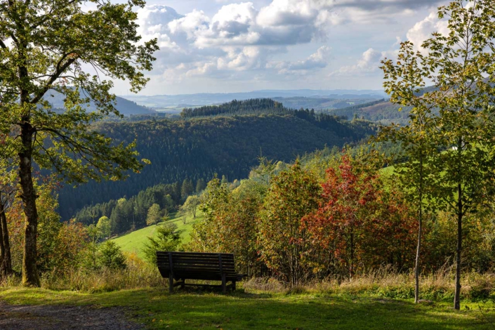 Waldsofa am Westfelder Antoniussteig