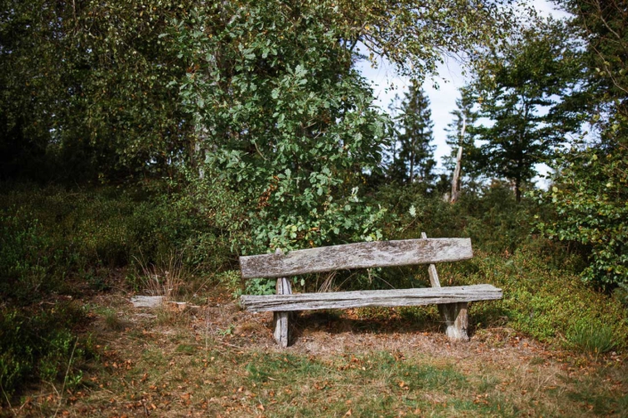 Bank im Naturschutzgebiet Rehhecke