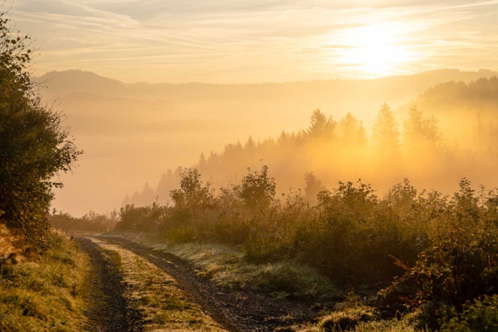 Herbstliche Morgenstimmung am Hirschberg