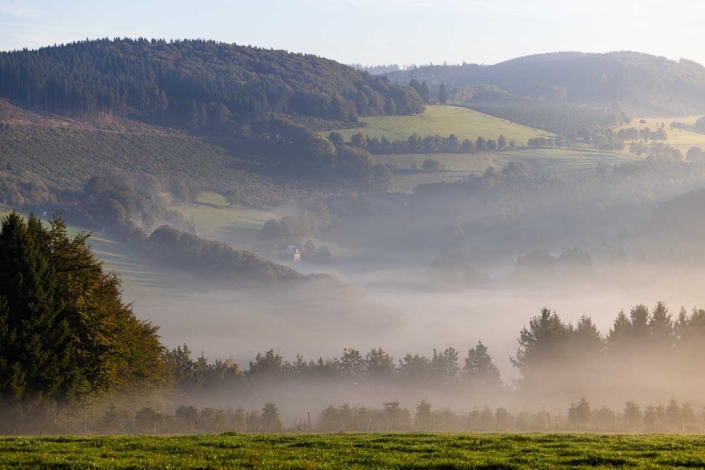 Morgenstimmung in Westfeld