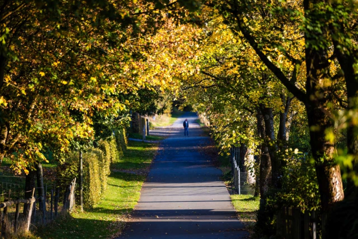 Herbstfarben in Schanze