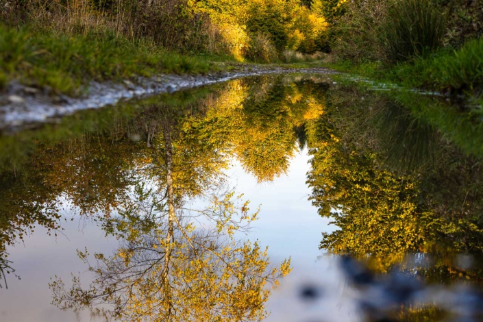 Herbstliche Pfützenfotografie