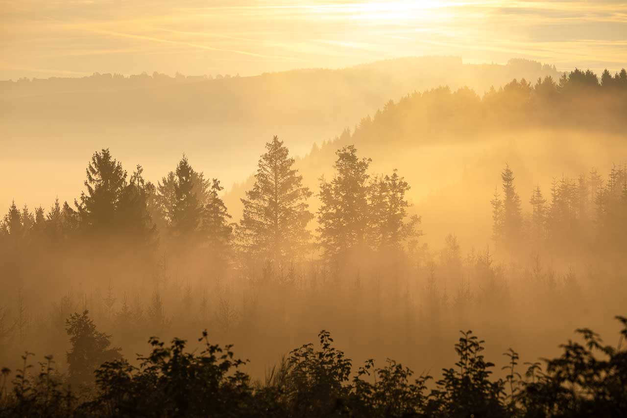 Morgendunst