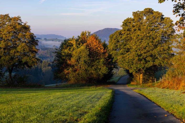 Weg in den Herbst